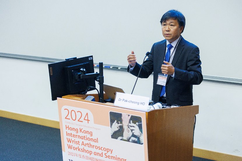 HK Wrist Course 2024- Seminar  - 178 of 257